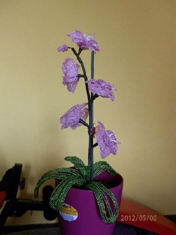 Orchidej 2